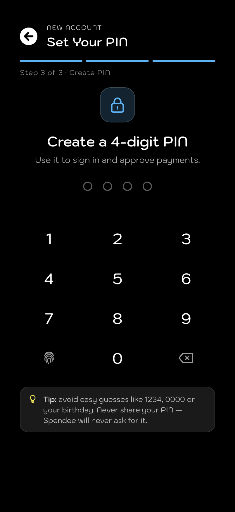 Spendee, Create PIN